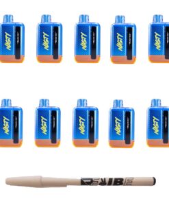 Nasty 9000 Puff Rechargeable Disposable Vape 5% Peach Ice 10 Pack