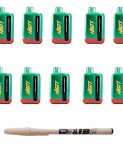 Nasty 9000 Puff Rechargeable Disposable Vape 5% Pomegranate Berry 10 Pack