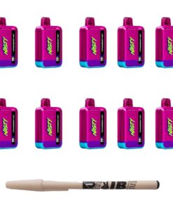 Nasty 9000 Puff Rechargeable Disposable Vape 5% Strawberry Ice 10 Pack
