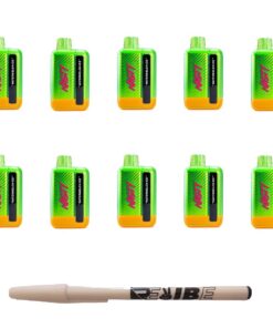 Nasty 9000 Puff Rechargeable Disposable Vape 5% Watermelon Ice 10 Pack