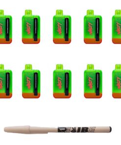 Nasty 9000 Puff Rechargeable Disposable Vape 5% Watermelon Raspberry10 Pack