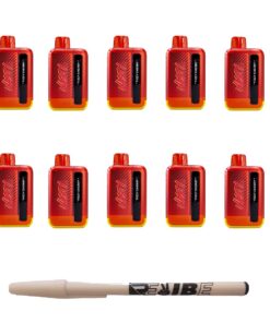 Nasty 9000 Puff Rechargeable Disposable Vape Fizzy Cherry 5% 10 Pack