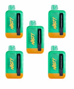 Nasty Disposable Rechargeable Vape 8500 puff 50mg - Pomegranate Berry 5Pack