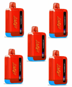 Nasty Disposable Rechargeable Vape 9000 puff - Blackberry Ice 5 Pack