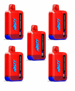 Nasty Disposable Rechargeable Vape 9000 puff - Blue Raspberry Lemon 5 Pack