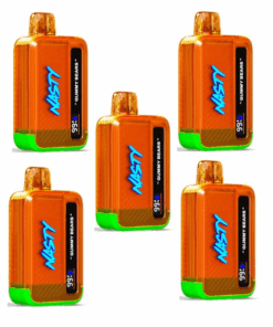 Nasty Disposable Rechargeable Vape 9000 puff - Gummy Bears 5 Pack