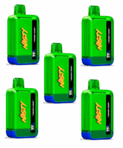 Nasty Disposable Rechargeable Vape 9000 puff - Honeydew 5 Pack