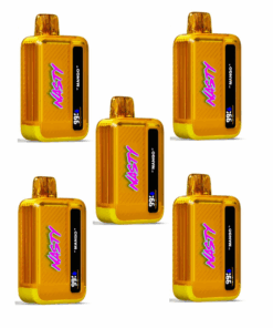 Nasty Disposable Rechargeable Vape 9000 puff - Mango 5 Pack