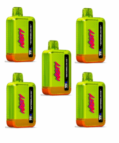 Nasty Disposable Rechargeable Vape 9000 puff - Watermelon Ice 5 Pack