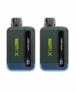 Nasty Rechargeable Vape 9000 Puffs X-Nic - Arctic Mint - 2 Pack