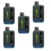 Nasty Rechargeable Vape 9000 Puffs X-Nic - Arctic Mint - 5 Pack