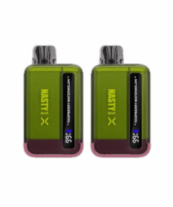 Nasty Rechargeable Vape 9000 Puffs X-Nic - Raspberry Watermelon - 2 Pack