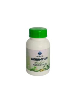 Natural Antibiotic for Infection - Urinary Tract (UTI), Bladder and Kidney