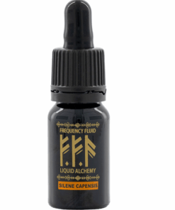 Nature's Pharmatropia - 10ml Silene Capensis Oneirogenic Botanical Extract