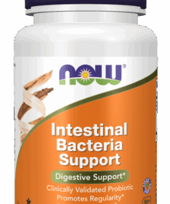 NOW Foods Intestinal Bacteria Support - 60 Veg Caps