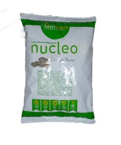 Nucleo - Superfood - Chocolate - 750g