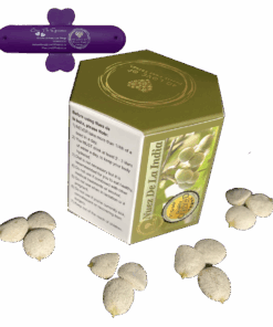 Nuez De La India Natural Detoxing Weight Loss Seeds