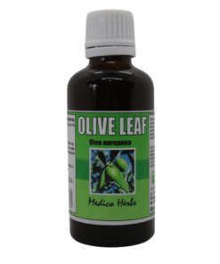 Olive Leaf Drops