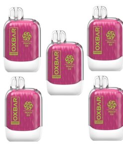 Oxbar 8000 Puff Disposable Vape 50mg - Peach Ice - 5 Pack