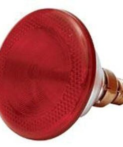 Poltek - Poultry Infra Red Lamp - Light Bulbs & Lighting - 1/100 - 175w