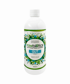 Rawbiotics Gut 500ml