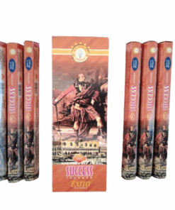 SAC Success Incense Sticks (6 Packs of 20 Sticks Each)