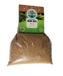 Seedleme Kikuyu Whittet Lawn Grass Seed Bumper Pack - 1000g