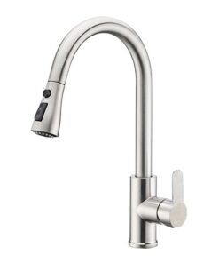 Single Handle High Arc Pull Out Kitchen Faucet