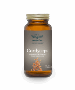Soaring Free - Cordyceps Mushroom Capsules 90 x 500mg