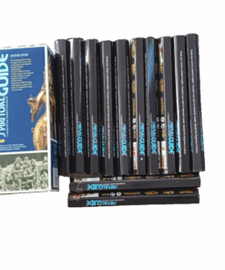 Spiritual Guide Incense Sticks - Hex