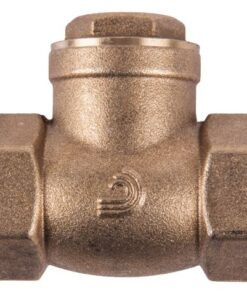Torrenti Brass Check Swing Valve - 65mm