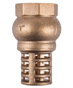 Torrenti Brass Foot Valve - 65mm