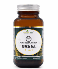 Turkey Tail Medicinal Mushroom | High Dose Dual Extract