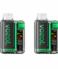 Vozol Vista 20000 Puff Disposable Vape - Watermelon Bubblegum - 2 Pack