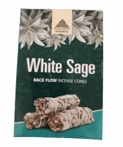 Wellness Mantra Back Flow Incense Cones - White Sage