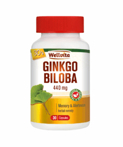 Wellvita Gingko Biloba 30 capsules