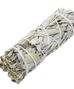White Sage Smudge - Extra Large - 10 Pack
