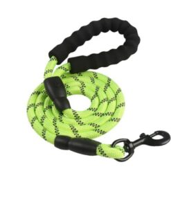 0.8 cm Nylon Rope Pet Lead Leash - Green