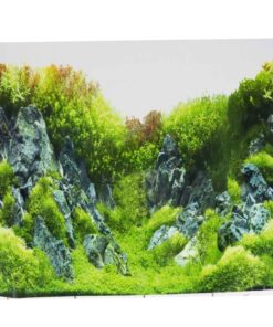 1 x Fish Tank Background Poster - 75cm x 50cm