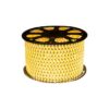 100M Warm White Strip Light 220V