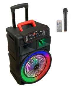 12 inch Portable Karaoke Speaker with Wireless Mic+Remote jt1268