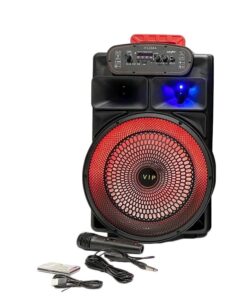 12? Portable speaker with microphone & remote control JT-1268A