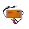 12V 20A Intelligent Pulse Charger - IT-2044