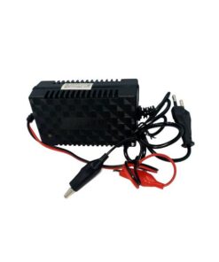12v 2a Intelligent Pulse Charger
