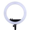 13 inch Studio Ring Light with Tripod stand and phone stand