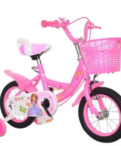 16-Inch Children Bike with Training Wheels for Little Girls