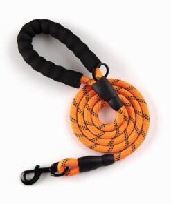 1.7 Meter Reflective Pet Rope Lead / Leash With Metal Clip Hook - Orange