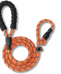 1.7 Meter Reflective Pet Rope Slip Lead / Leash - Orange