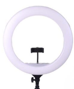 18" Ring Light