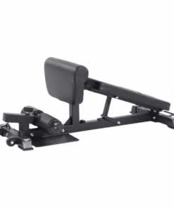 2-in-1 Ab Crunch Sissy Squat Bench